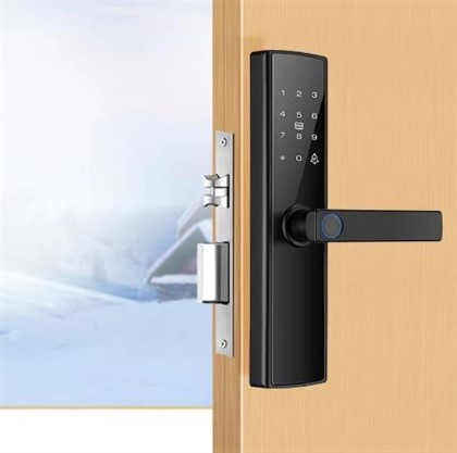 Paras Smart Lock 2023
